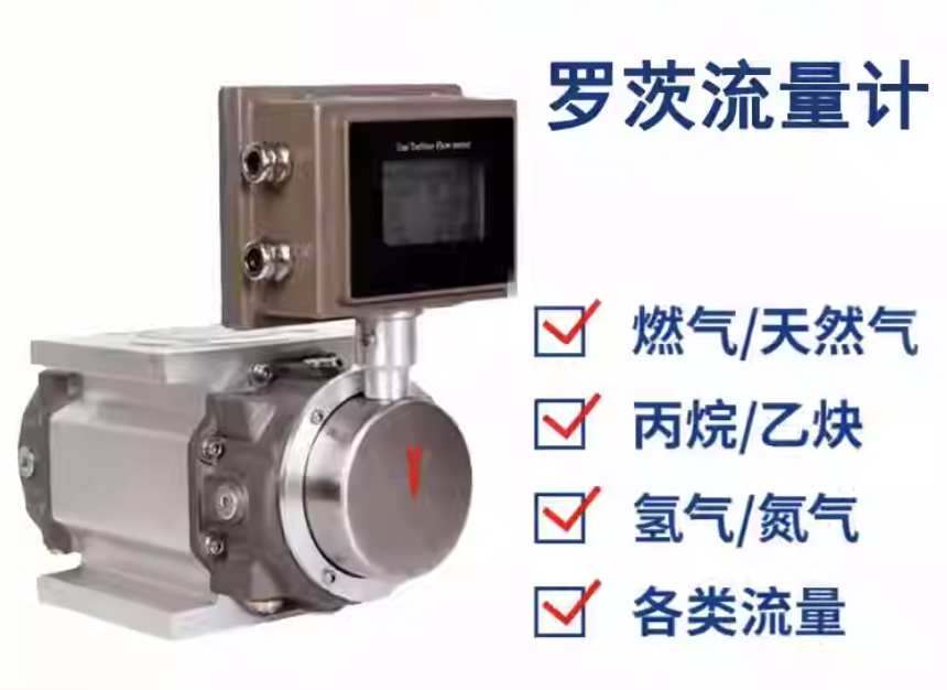 智能羅茨流量計(jì)